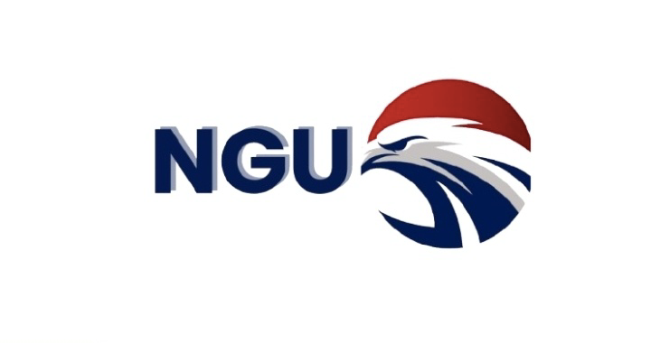 Never Give Up Logo
